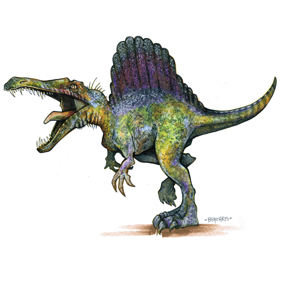 Original Art | Spinosaurus | Original Marker Sketch