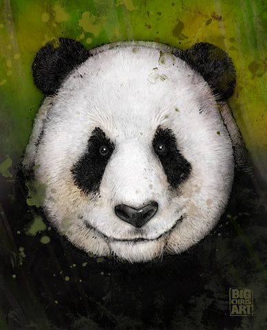 Animals | Panda | 8x10 Print