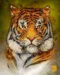 Animals | Tiger | 8x10 Print