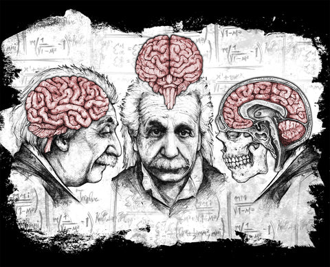 Apothic Ink | Einstein Brain | 8x10 Print