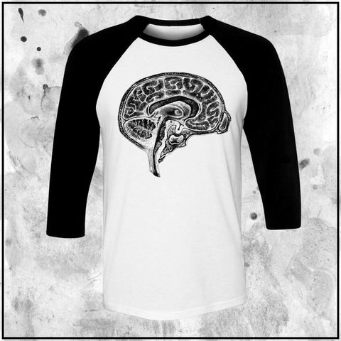 Apothic Ink - Pencils - Brain2 XRay | Raglan