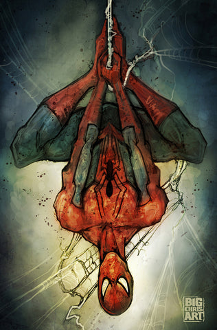Spiderman - 11x17 Print