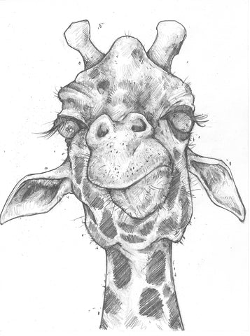 Original Art | Giraffe | 6x8 Original Pencil Drawing