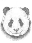 Original Art | Panda | 6x8 Original Pencil Drawing